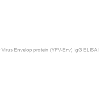 Mouse Anti-Yellow Fever Virus Envelop protein (YFV-Env) IgG ELISA kit, 96 tests, Quantitative
